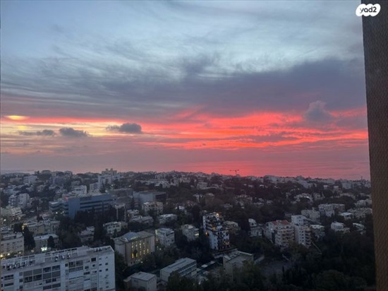 תמונה 2 ,דירה 5 חדרים למכירה בחיפה, שדרות הנשיא, מרכז הכרמל