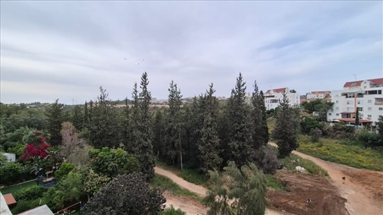 נוף מהבית