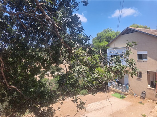 תמונה 2 ,מגרש למגורים 4 חדרים למכירה בקריית טבעון, אמנון ותמר 12, מרכז טבעון