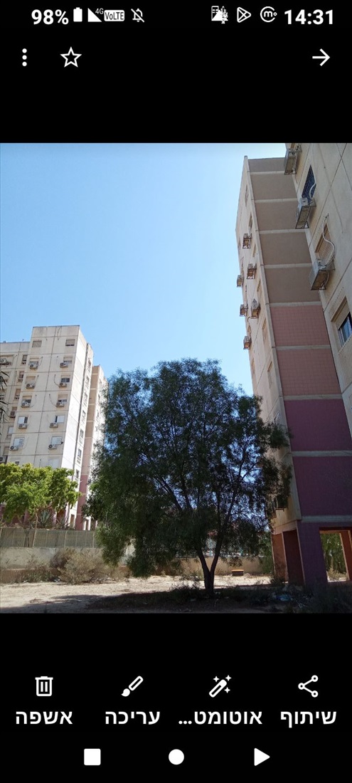 תמונה 1 ,דירה 3 חדרים למכירה בדימונה, אלחריזי, תשלוז