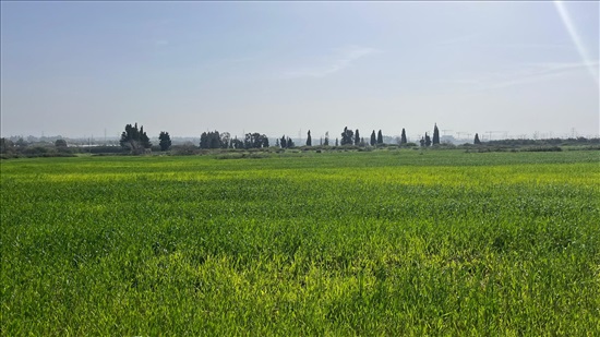 תמונה 2 ,מגרש למגורים 6 חדרים למכירה בבנימינה, פריחת ההדרים, הדרים