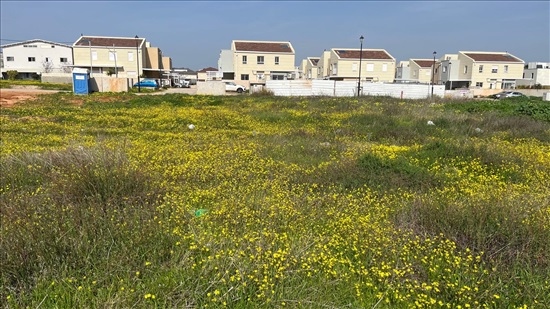 תמונה 4 ,מגרש למגורים 6 חדרים למכירה בבנימינה, פריחת ההדרים, הדרים