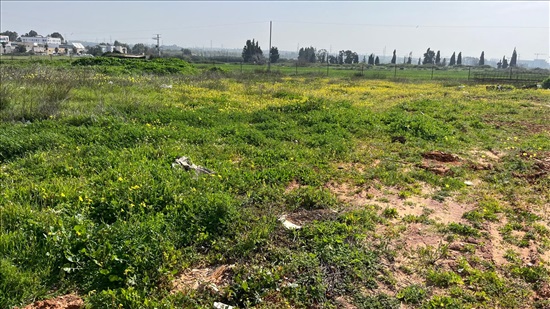 תמונה 3 ,מגרש למגורים 6 חדרים למכירה בבנימינה, פריחת ההדרים, הדרים
