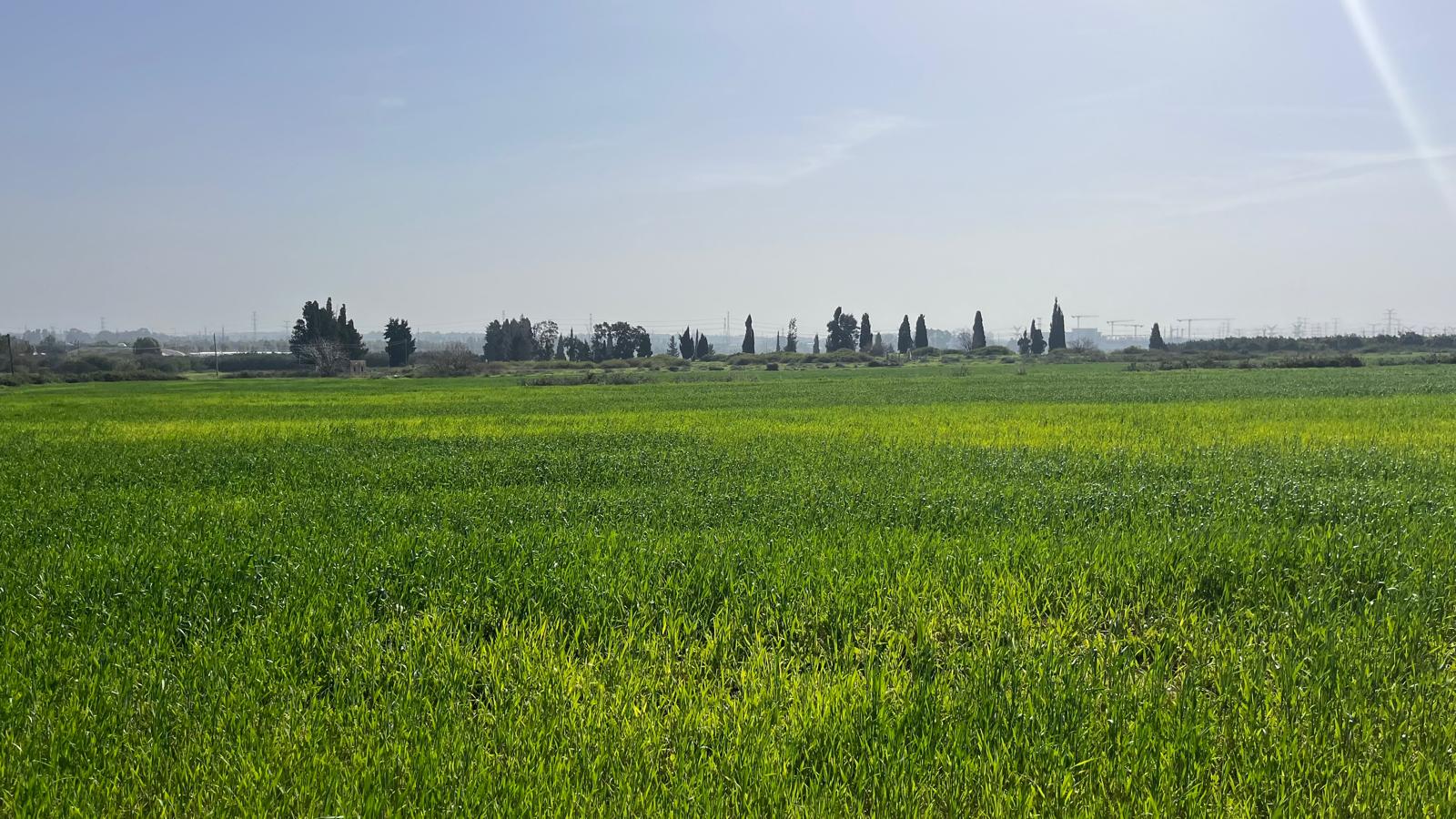 תמונה 2, מגרש למגורים 6 חדרים למכירה בבנימינה, פריחת ההדרים, הדרים