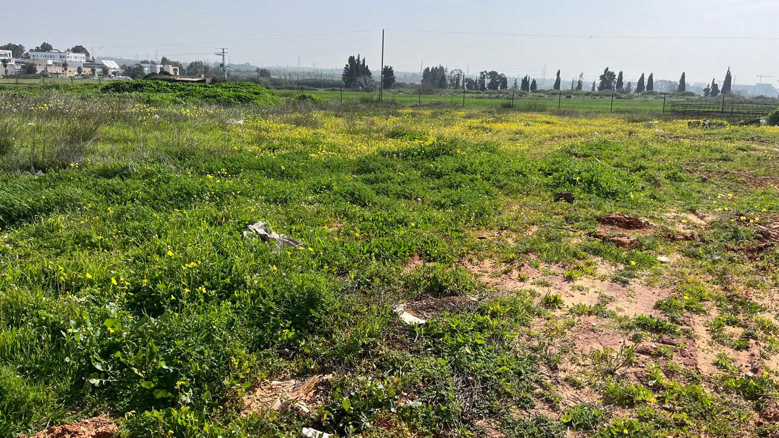 תמונה 3, מגרש למגורים 6 חדרים למכירה בבנימינה, פריחת ההדרים, הדרים