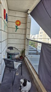 מיני פנטהאוז, 5 חדרים, הדוגית, יבנה  