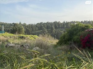 מגרש למגורים למכירה 10 חדרים בחשמונאים קול יהודה 