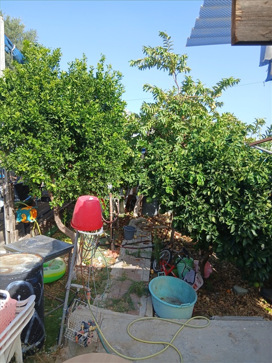 תמונה 2, דו משפחתי 3 חדרים למכירה בנהריה, טרומפלדור, גבעת טרומפלדור