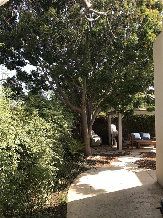 תמונה 4 ,בית פרטי 5 חדרים למכירה בבית גמליאל, התמר 129, בית גמליאל