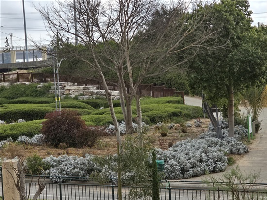 תמונה 2 ,דירה 2.5 חדרים למכירה בראשון לציון, התוף, נאות.אשלים 