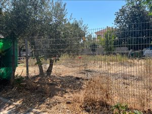 מגרש למגורים, 6 חדרים, ההדר, פתח תקווה  