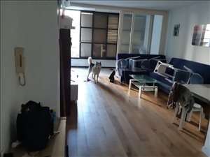 דירה למכירה 3.5 חדרים בנתניה שמואל הנציב מרכז העיר 