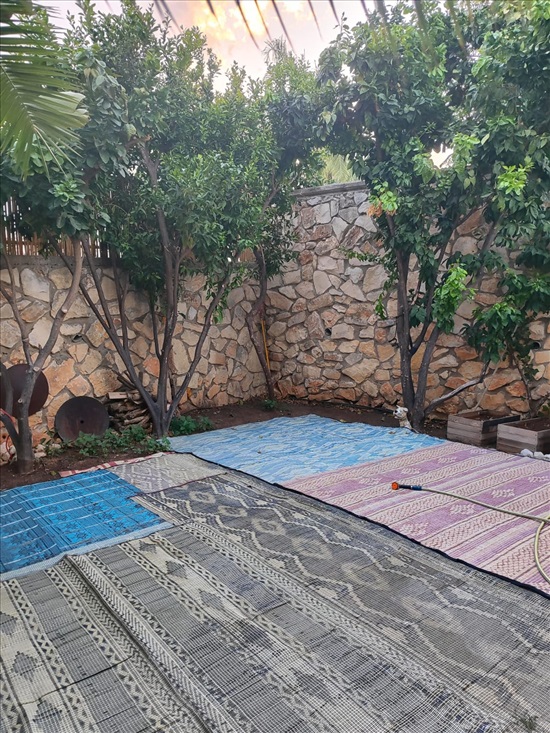תמונה 2, טריפלקס 5.5 חדרים למכירה ביקנעם עילית, שיאון, גבעת יערה