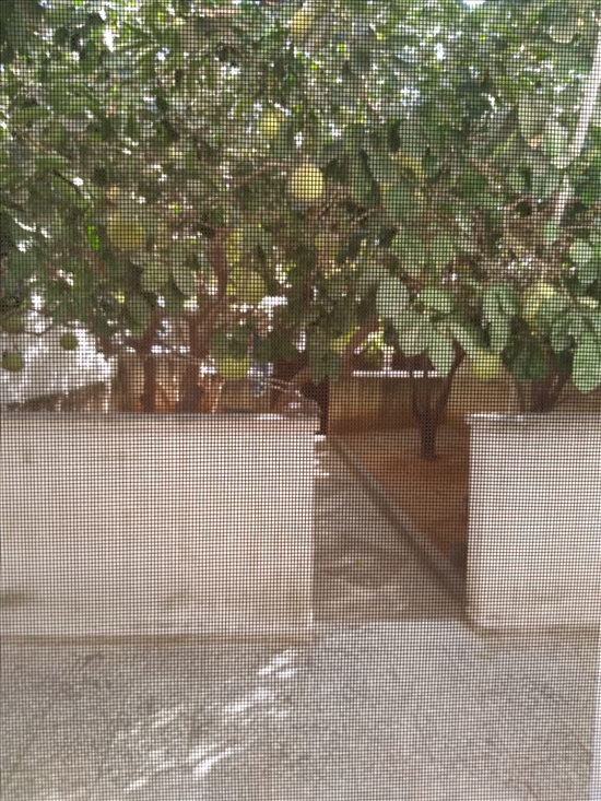 תמונה 5 ,בית פרטי 6 חדרים למכירה ברמלה, מסדה, מסדה
