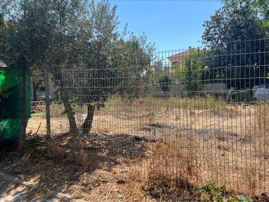 תמונה 1 ,מגרש למגורים 6 חדרים למכירה בפתח תקווה, ההדר, בילינסון