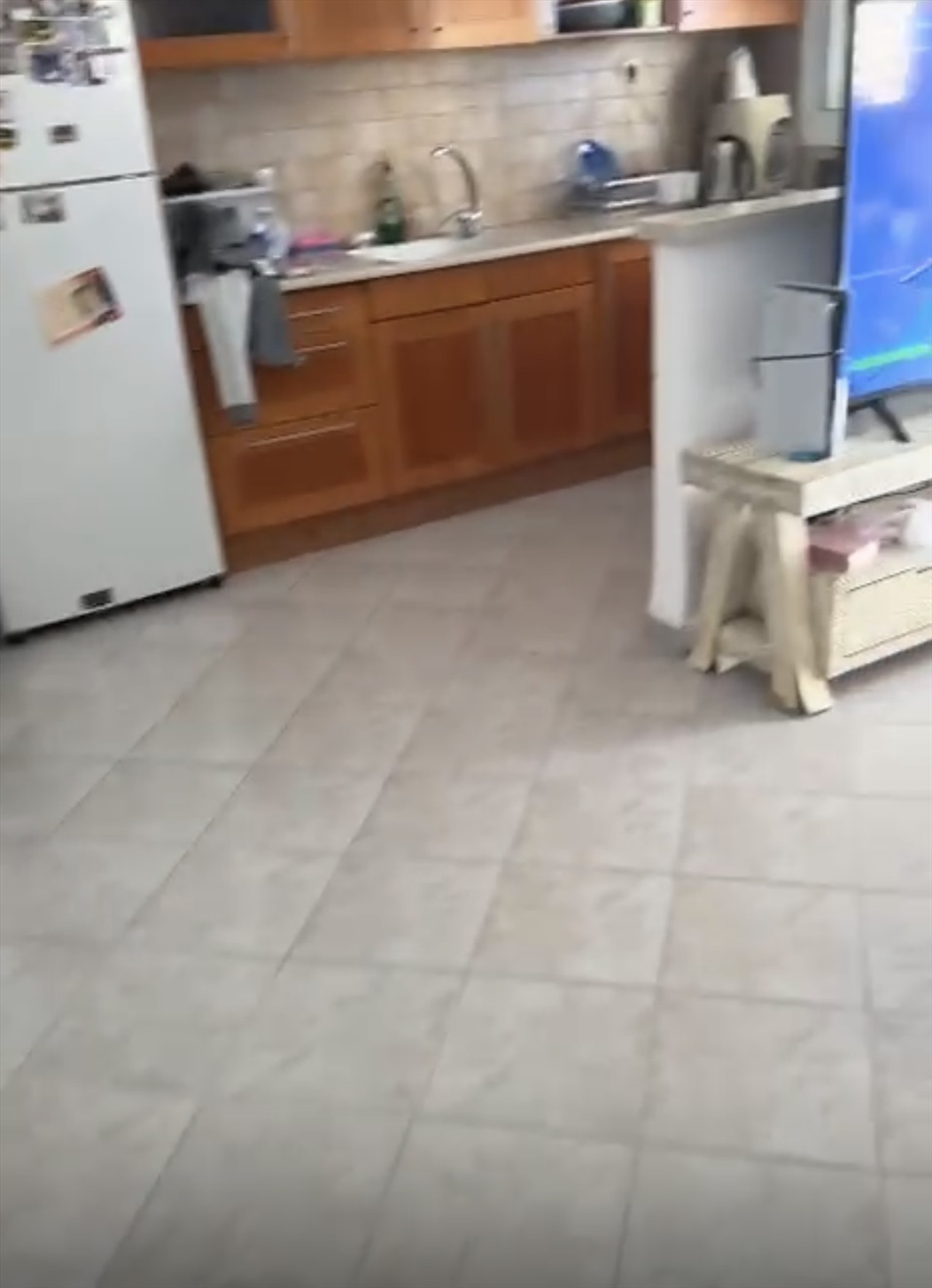 תמונה 1, דירה 3 חדרים למכירה בטבריה, גולדה מאיר, דויד רמז