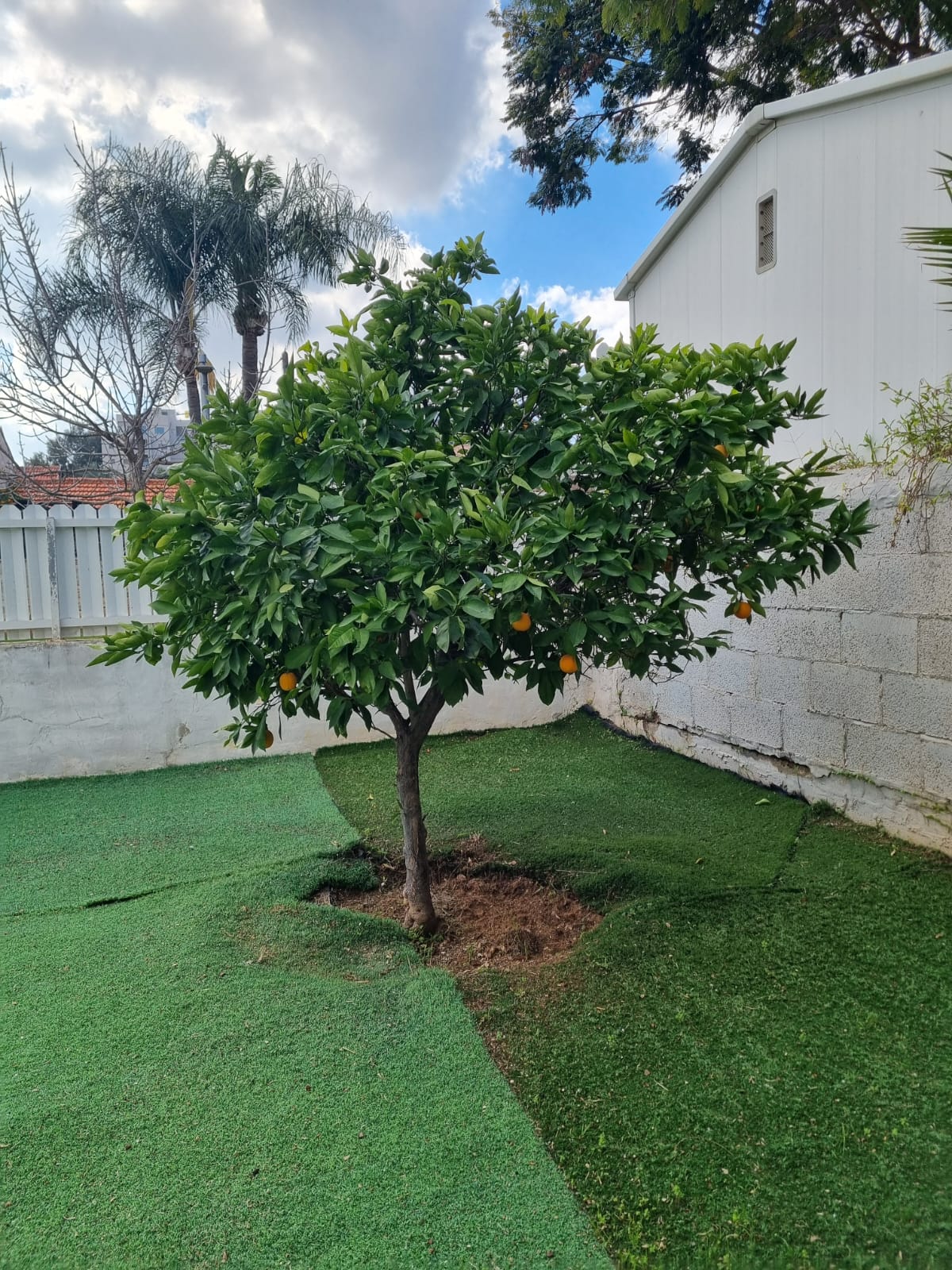 תמונה 1, בית פרטי 3 חדרים למכירה ברעננה, קארו, קרית שז``ר
