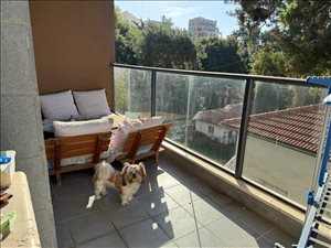 דירה, 5 חדרים, המייסדים, כפר סבא  