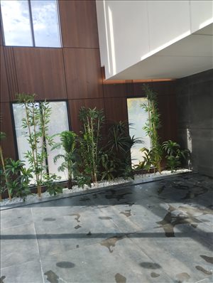 דירה למכירה 4 חדרים בנס ציונה שאול המלך 
