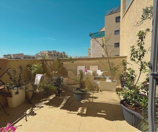 תמונה 3, דירה 3 חדרים למכירה בחריש, אורן, החורש