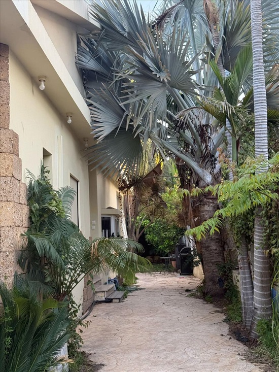 תמונה 2 ,דו משפחתי 4.5 חדרים למכירה בגן יבנה, הורד , נאות הפרחים