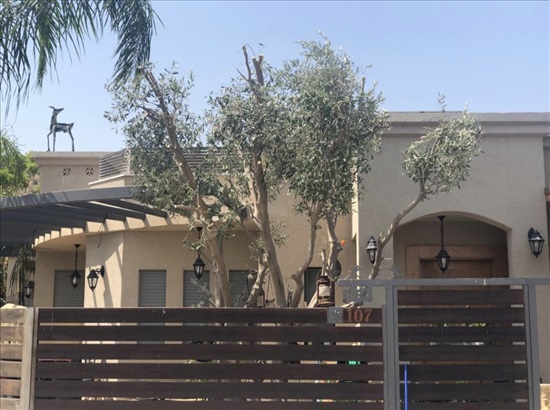 תמונה 2 ,בית פרטי 5 חדרים למכירה בגדעונה, כלנית , כלנית