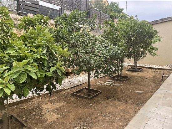 תמונה 9 ,בית פרטי 6 חדרים למכירה באשכולות, אשכולות, הותיקה