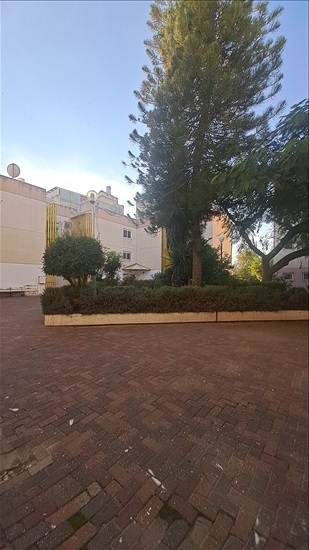 תמונה 7 ,דירה 3 חדרים למכירה ברמלה, יאיר שטרן, קריית מנחם בגין