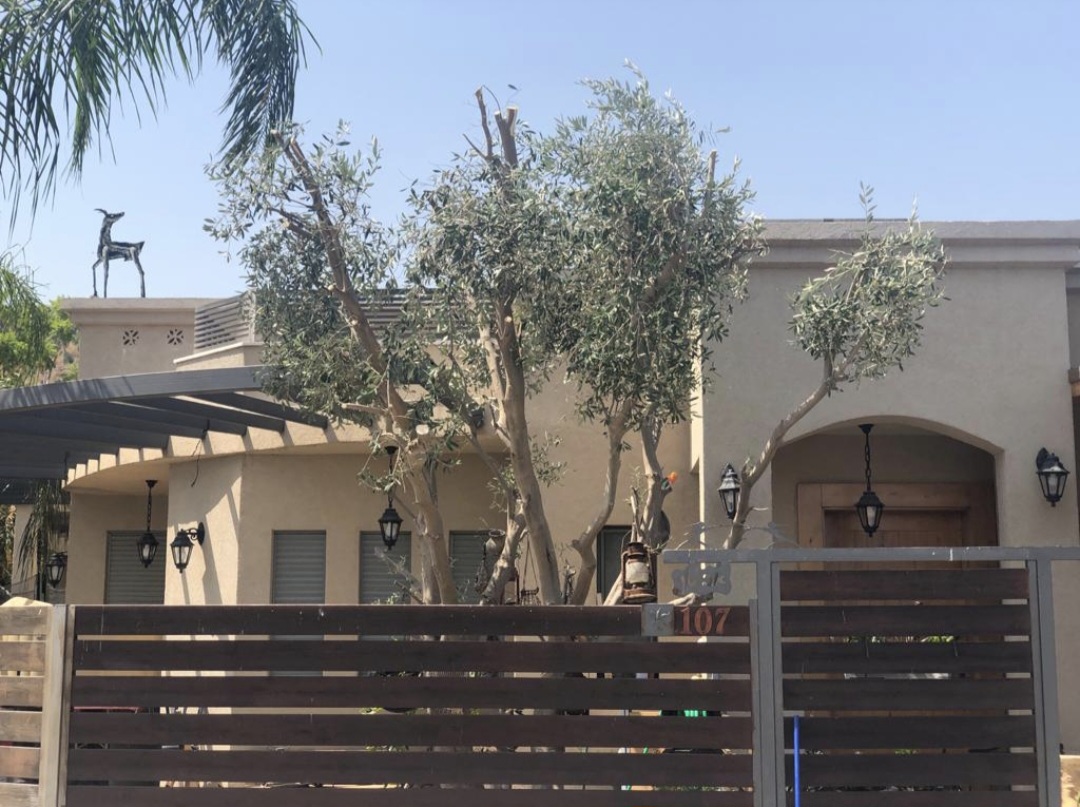 תמונה 2, בית פרטי 5 חדרים למכירה בגדעונה, כלנית , כלנית