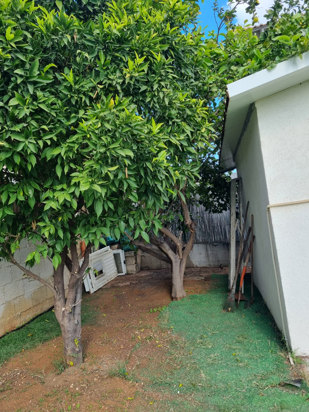 תמונה 2, בית פרטי 3 חדרים למכירה ברעננה, קארו, קרית שז``ר