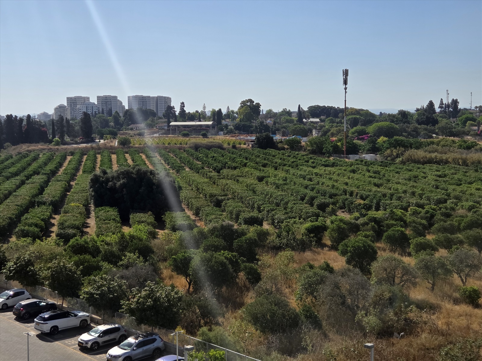 תמונה 4, דירה 4 חדרים למכירה ברחובות , חזון איש , רחובות הצעירה 