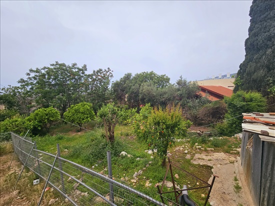 תמונה 3 ,בית פרטי 4 חדרים למכירה בשלומי, הרב עוזיאל, הראשונים