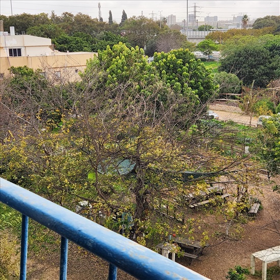 תמונה 1 ,דירה 3 חדרים למכירה בתל אביב יפו, האסיף, שפירא
