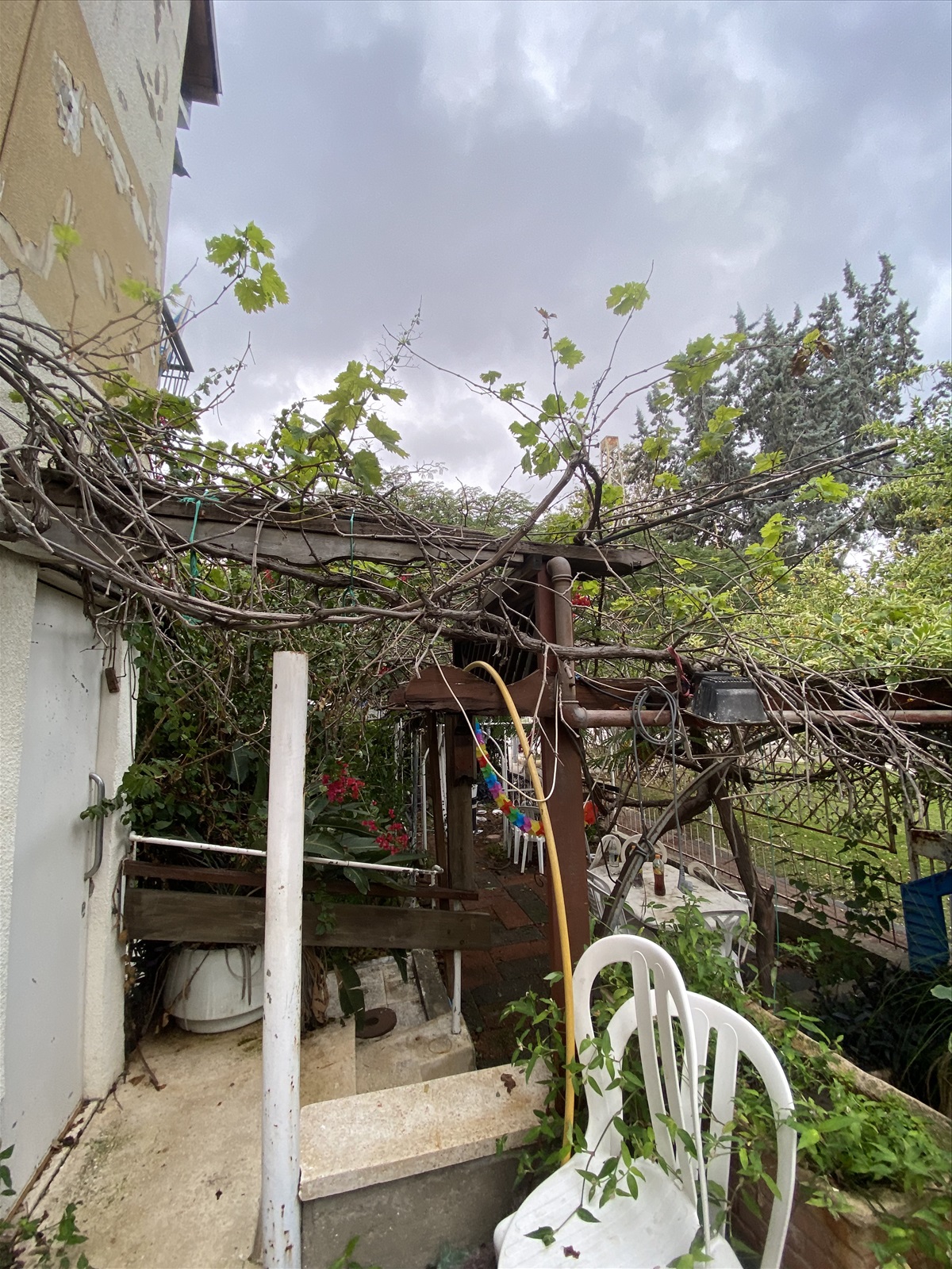 תמונה 4, דירת גן 4 חדרים למכירה בחולון, המצודה , תל גיבורים