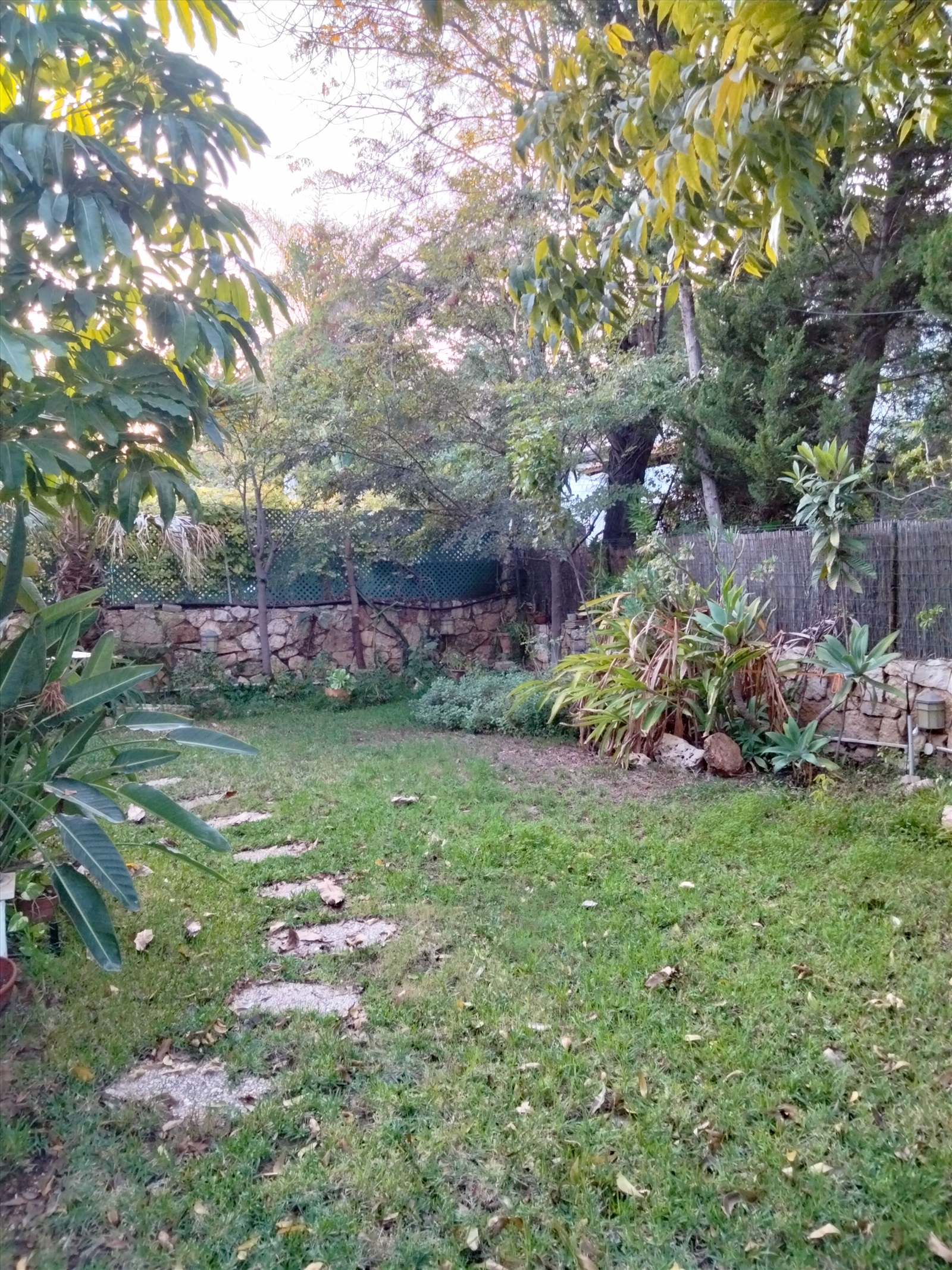 תמונה 4, בית פרטי 8 חדרים למכירה ביבנה, הנגב, נוה אילן