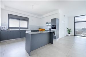 פנטהאוז למכירה 7 חדרים ברחובות  צאלון 20 