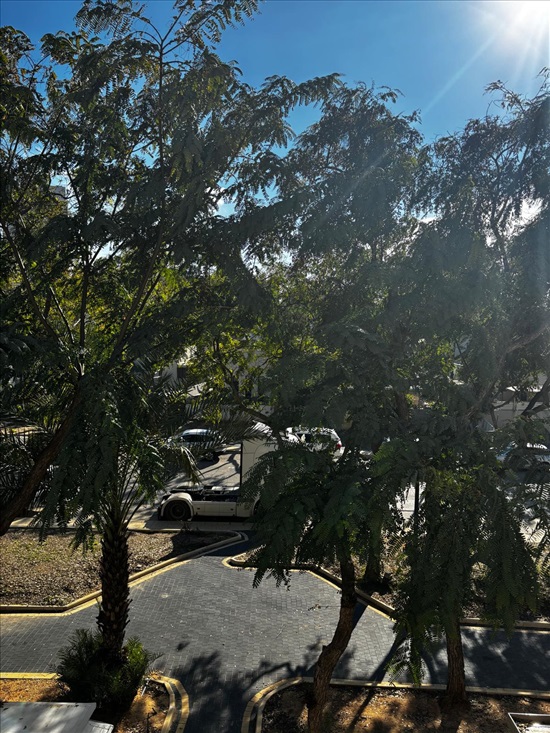 תמונה 2 ,דירה 6 חדרים למכירה באשקלון, יהדות ספרד, נווה דקלים