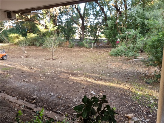 תמונה 5 ,דירה 3 חדרים למכירה בחיפה, יואב, קריית אליעזר 