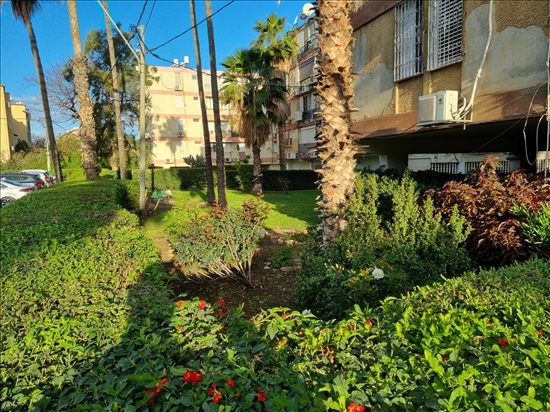 תמונה 7 ,דירה 3 חדרים למכירה בחיפה, יואב, קריית אליעזר 