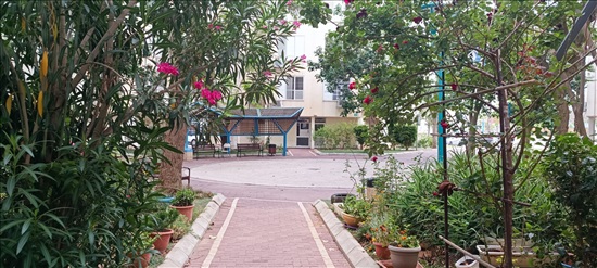 תמונה 9 ,דירה 3 חדרים למכירה בלוד, אריה רובין, משמר נוף