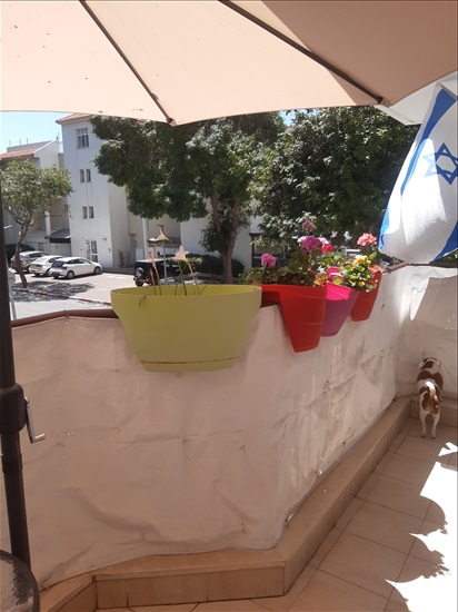 תמונה 6 ,דירת גן 5 חדרים למכירה בקרית אתא, אתא, בית וגן