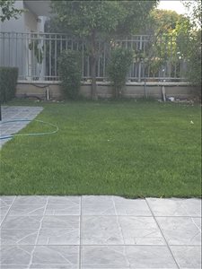 קוטג למכירה 5 חדרים באופקים שאול המלך 153  