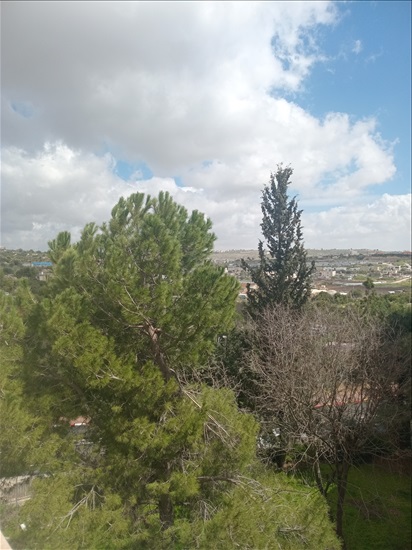 תמונה 2 ,דירה 3.5 חדרים למכירה בקרית ארבע, נחל אשכול, נחל אשכול