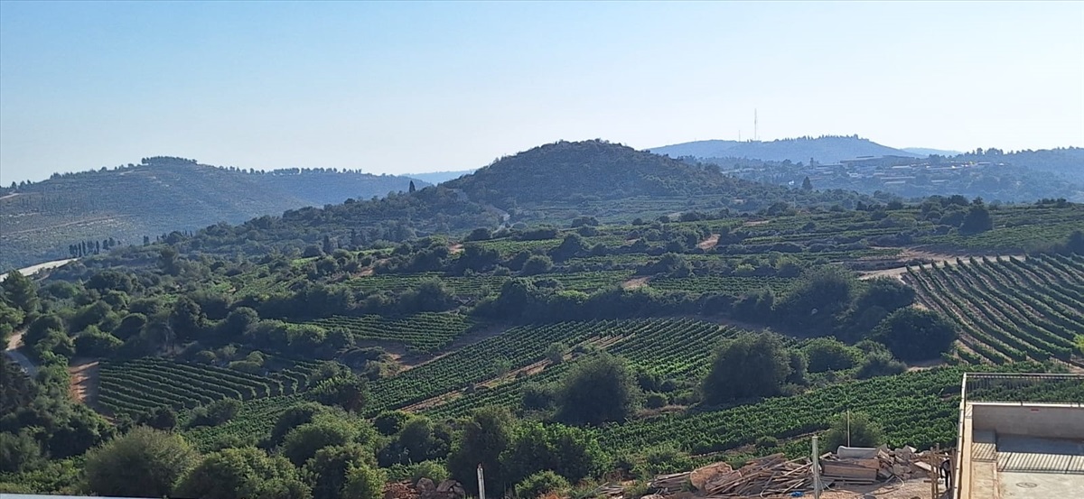 תמונה 1, דירה 4 חדרים למכירה במבשרת ציון, רותם , נופי הסלע 