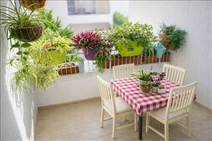 דירה למכירה 4 חדרים בנס ציונה רחבעם זאבי 