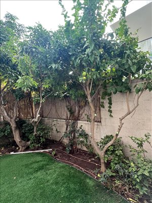 דירת גן, 5 חדרים, האוניברסיטה, הרצליה  
