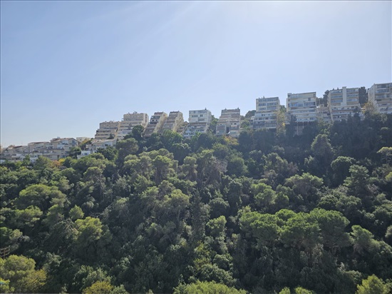 תמונה 3 ,דירה 4.5 חדרים למכירה בחיפה, האסיף, מרכז הכרמל