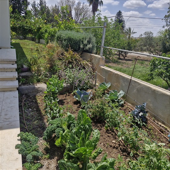 תמונה 7 ,בית פרטי 8 חדרים למכירה בשרונה, הגפן, הגפן