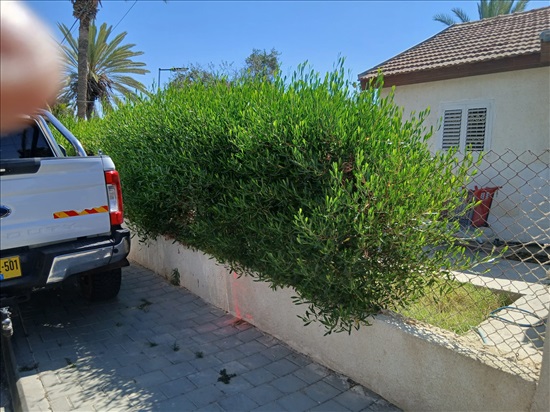 תמונה 4 ,בית פרטי 3 חדרים למכירה בבאר שבע, שיזף, נווה נוי