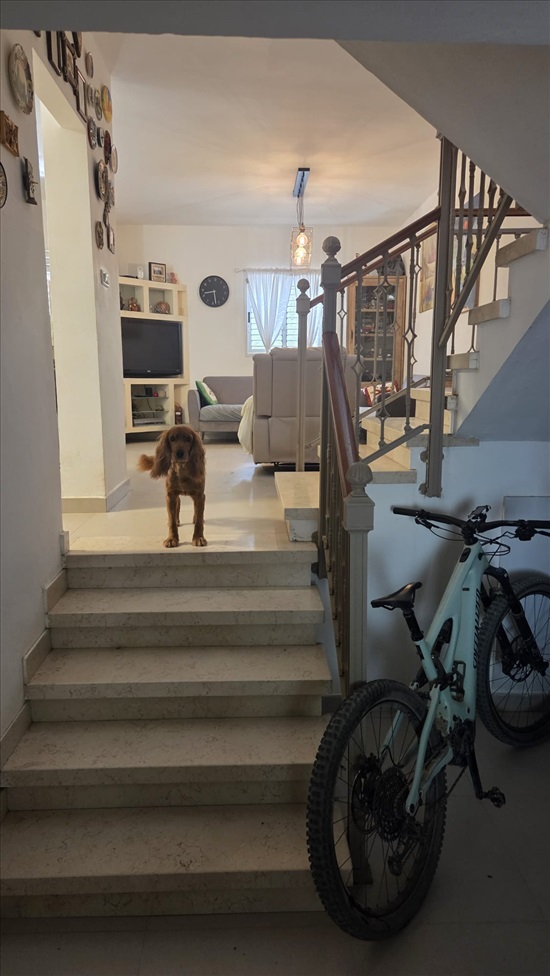 תמונה 8 ,קוטג 5 חדרים למכירה ב באר שבע, בית שאן, נאות לון